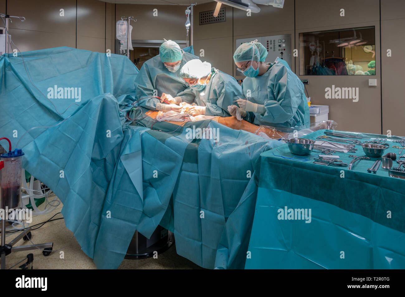 two surgeons perform a vascular operation Stock Photo Alamy