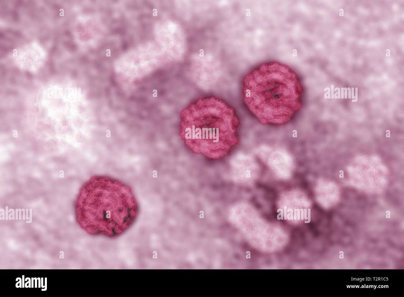 Hepatitis B virus Stock Photo Alamy