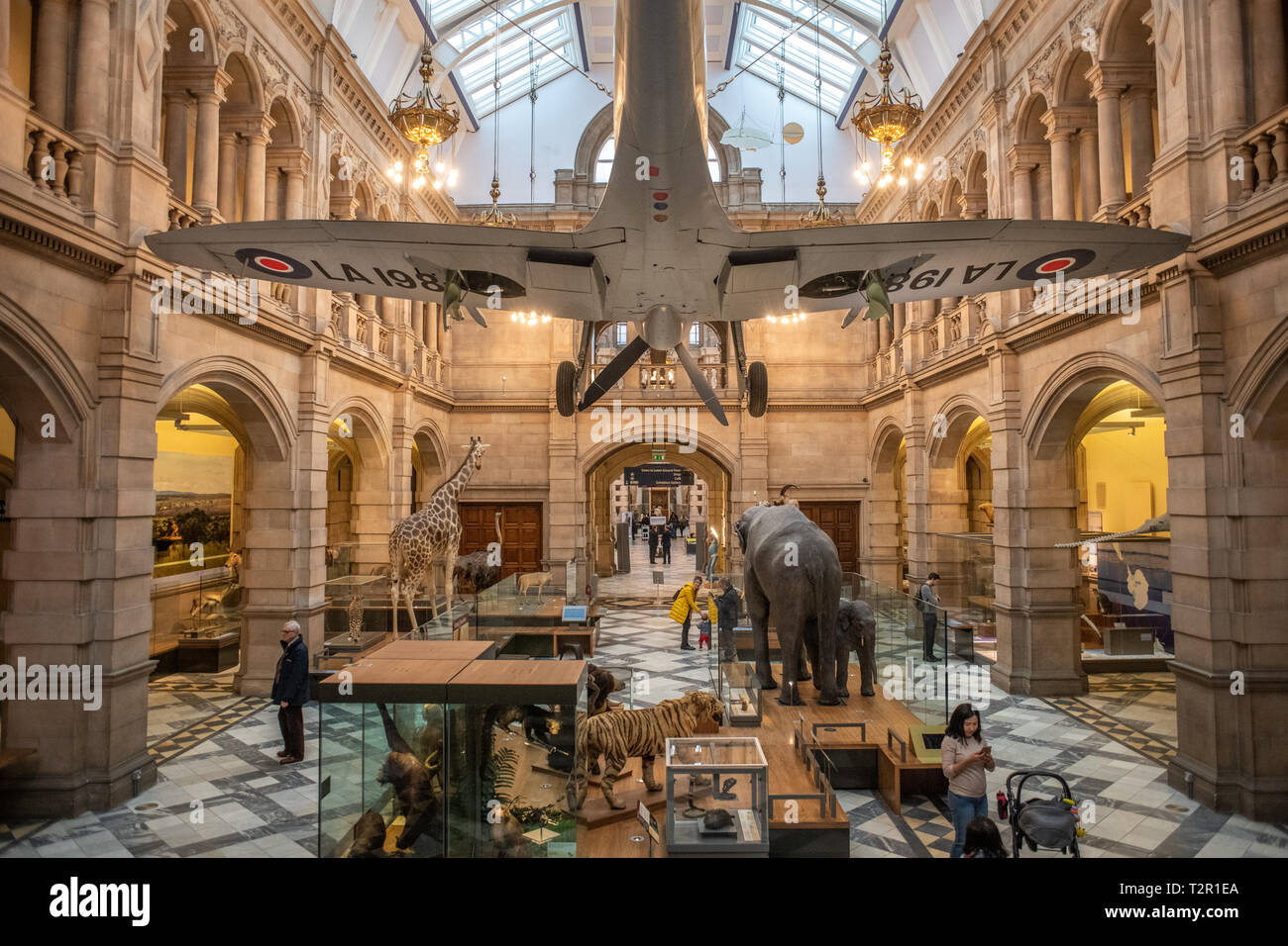 An Airplane Hanging In The Lobby Of The Kelvingrove Museum