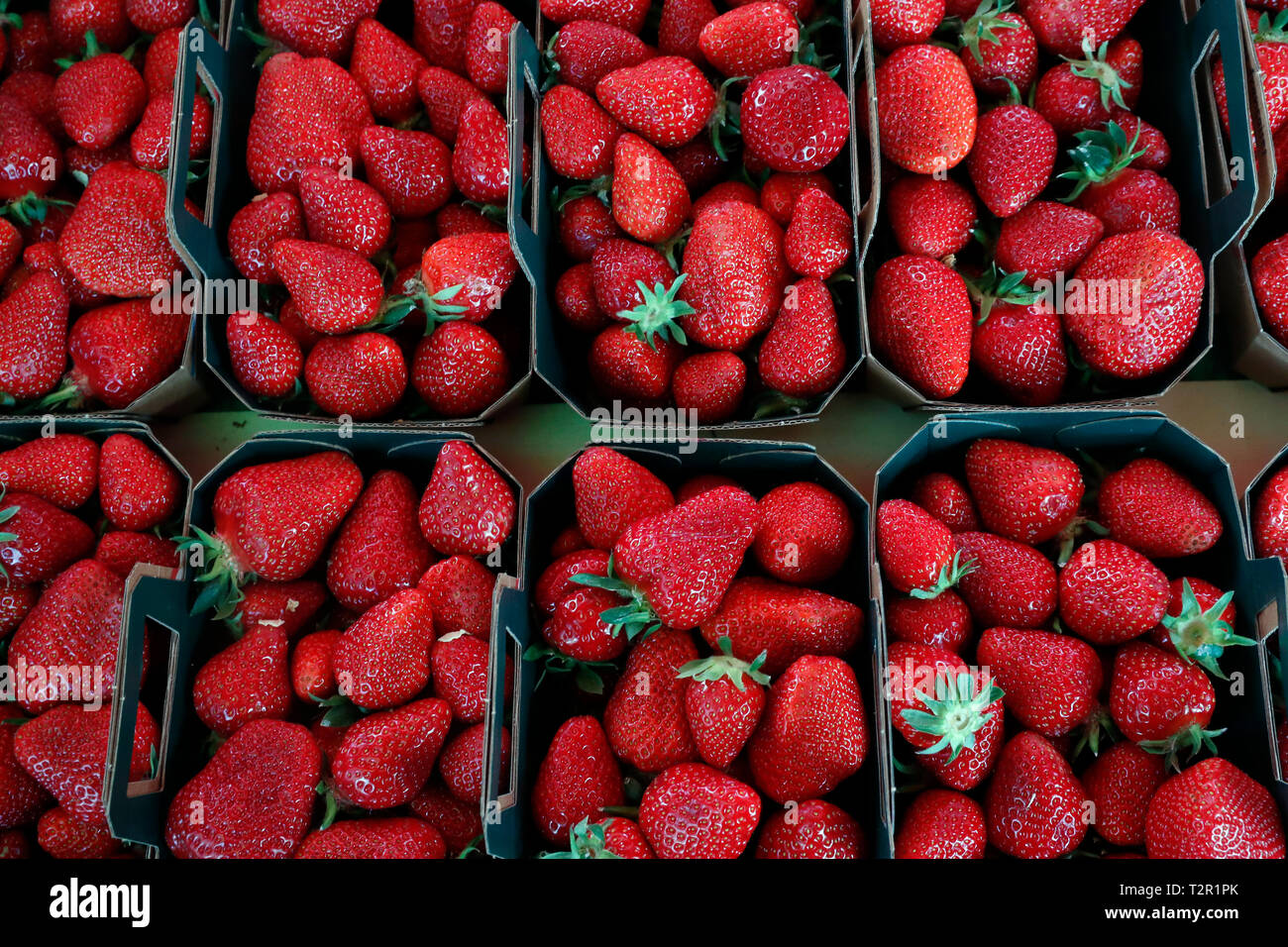 Strawberries in tray at market hi-res stock photography and images - Alamy