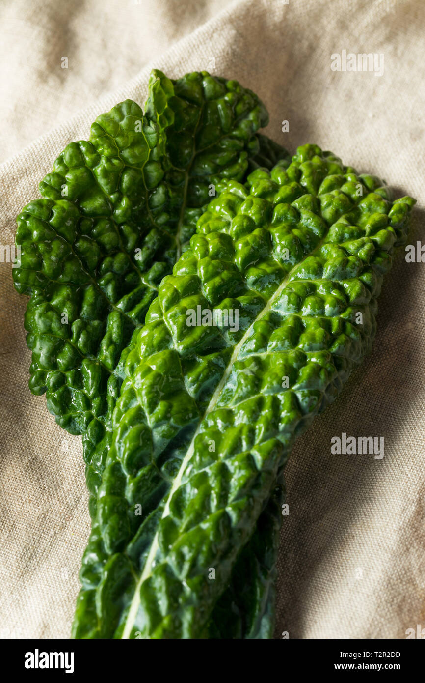 Healthy Organic Green Lacinato Kale Ready to Cook Stock Photo Alamy