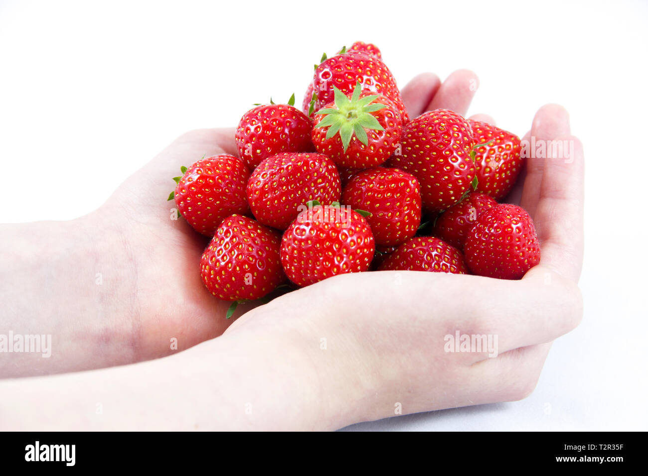 Hands holding pile of strawberries Stock Photo