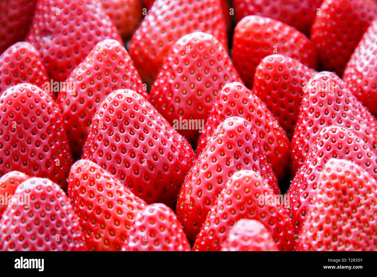 Horizontal many several ripe hi-res stock photography and images - Alamy