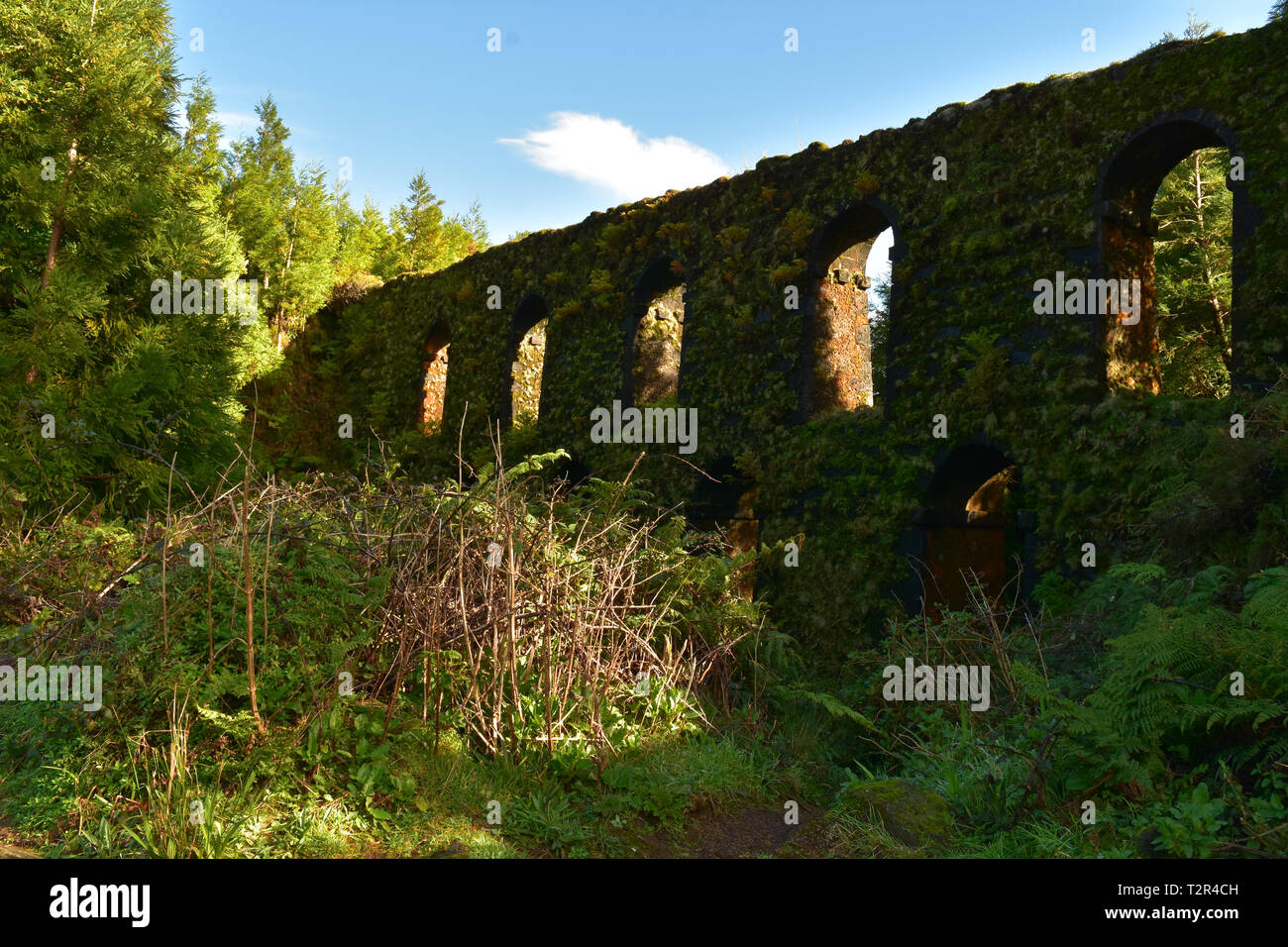 An old aqueduct with arches in the countryside of Sao Miguel Stock ...