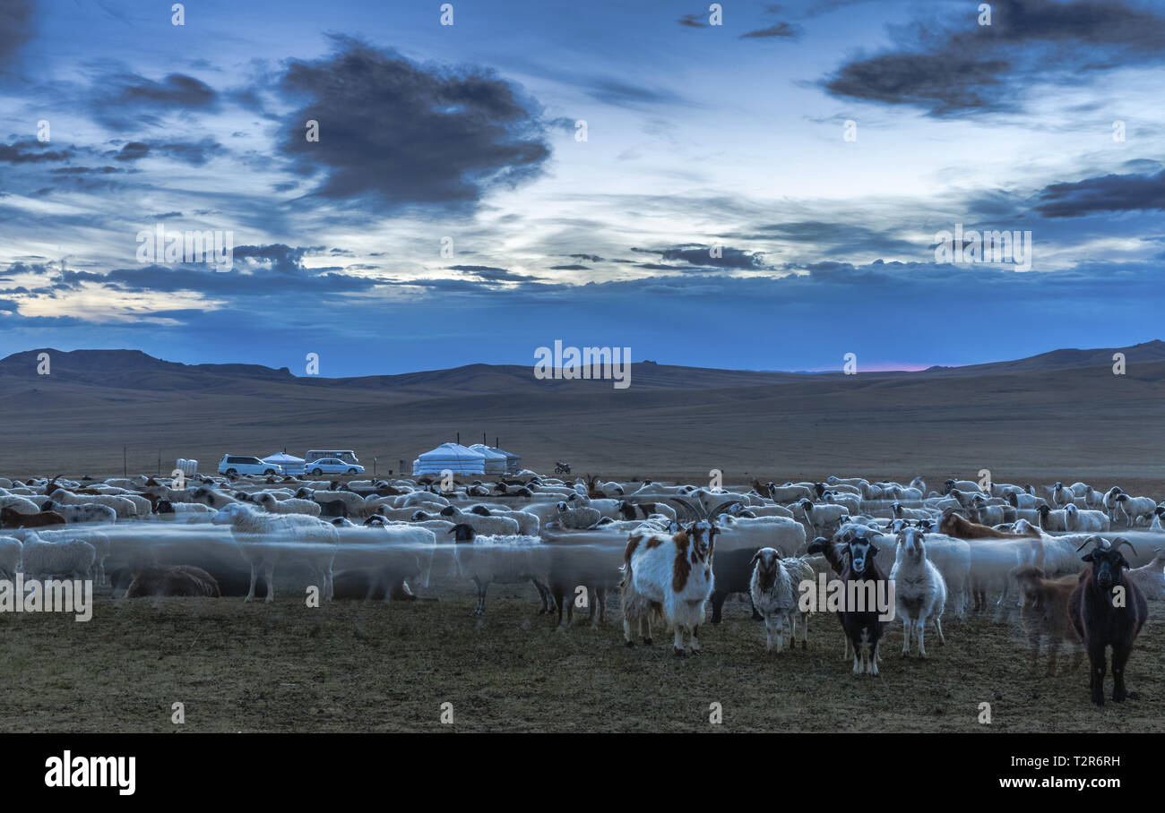 Nature beauty in Mongolia Stock Photo - Alamy