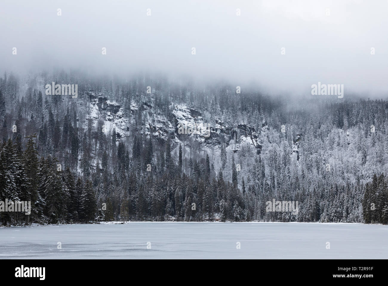 Grosser Arbersee Stock Photo