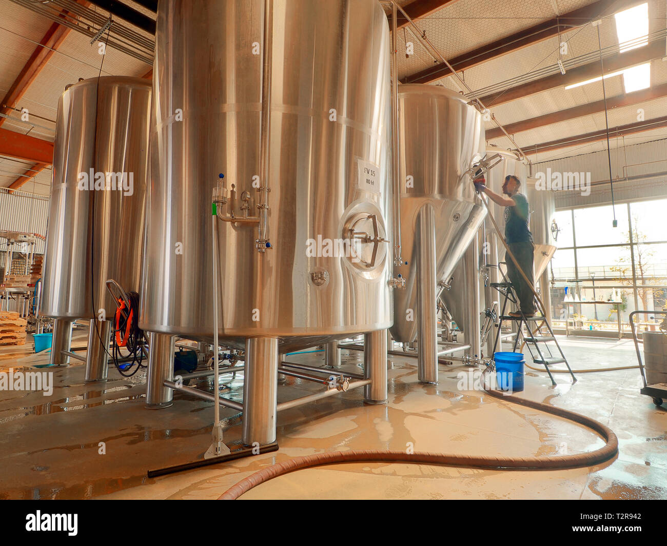 Stainless steel tanks at Legal craft brewery in Arlington, Texas. Located in former Auto dealership. Legal names given to brews, owner is a lawyer. Stock Photo