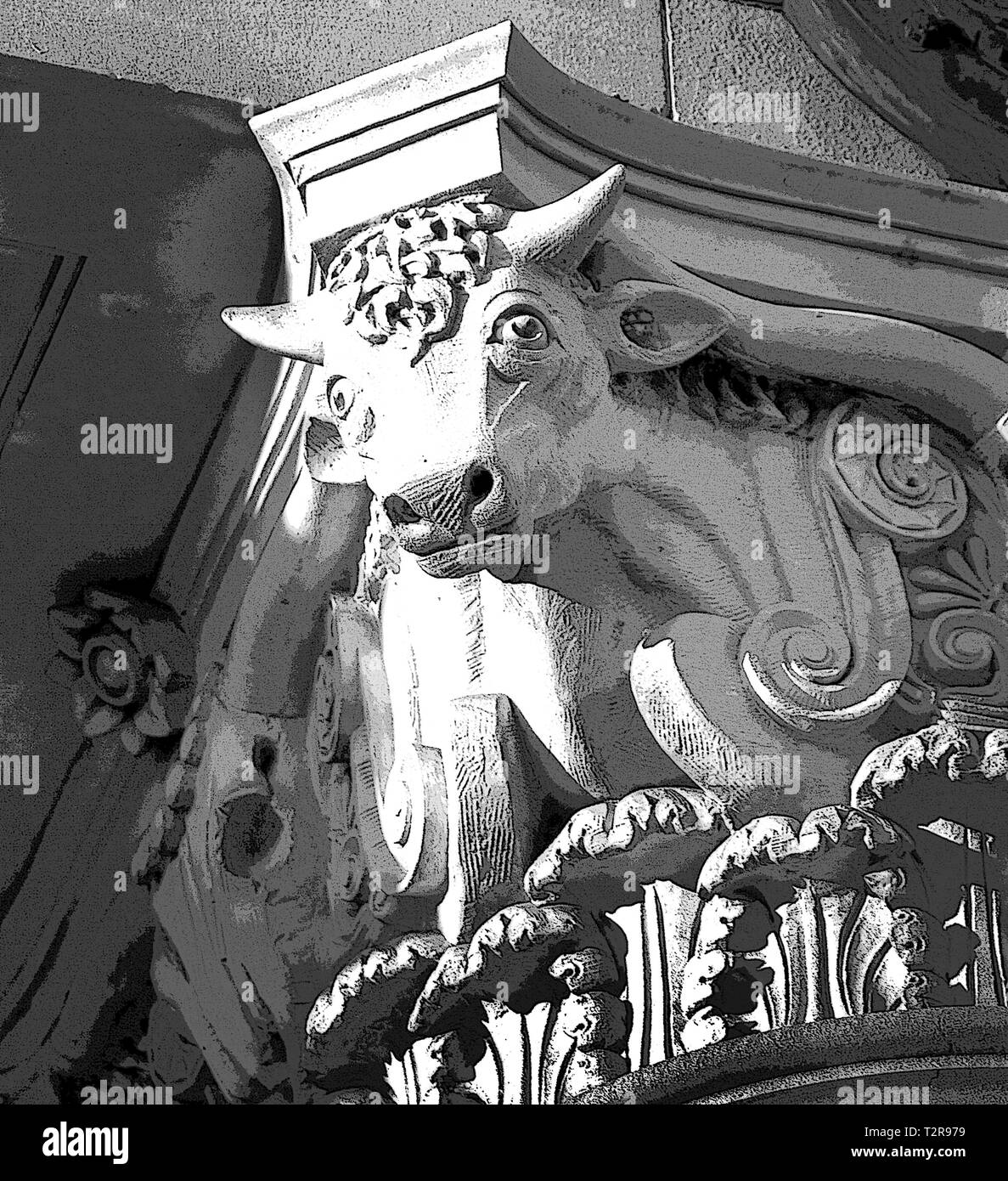 Fort Worth Black and White Pictures Black and White fort worth