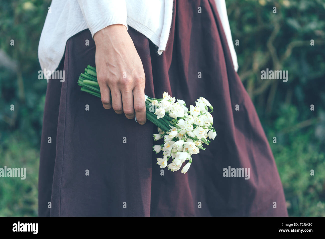 closeup of female hand holding a bouquet of snowdrops in nature Stock Photo