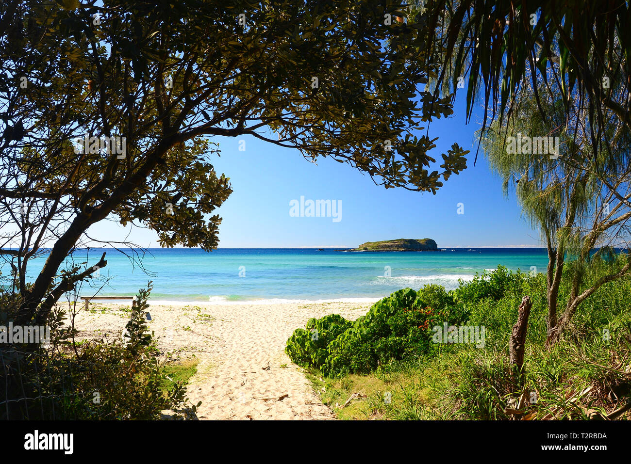 Fingal Head Beach, Australia Stock Photo Alamy