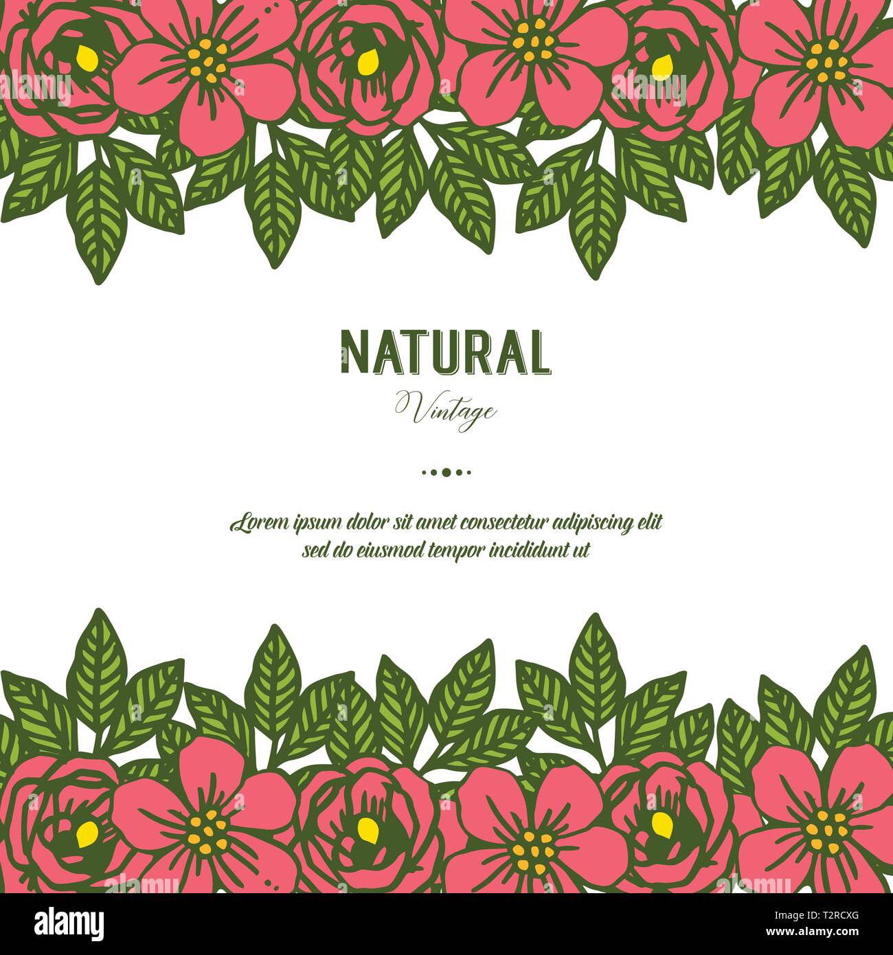 Vector illustration elegant leaf rose flower frame with design natural ...