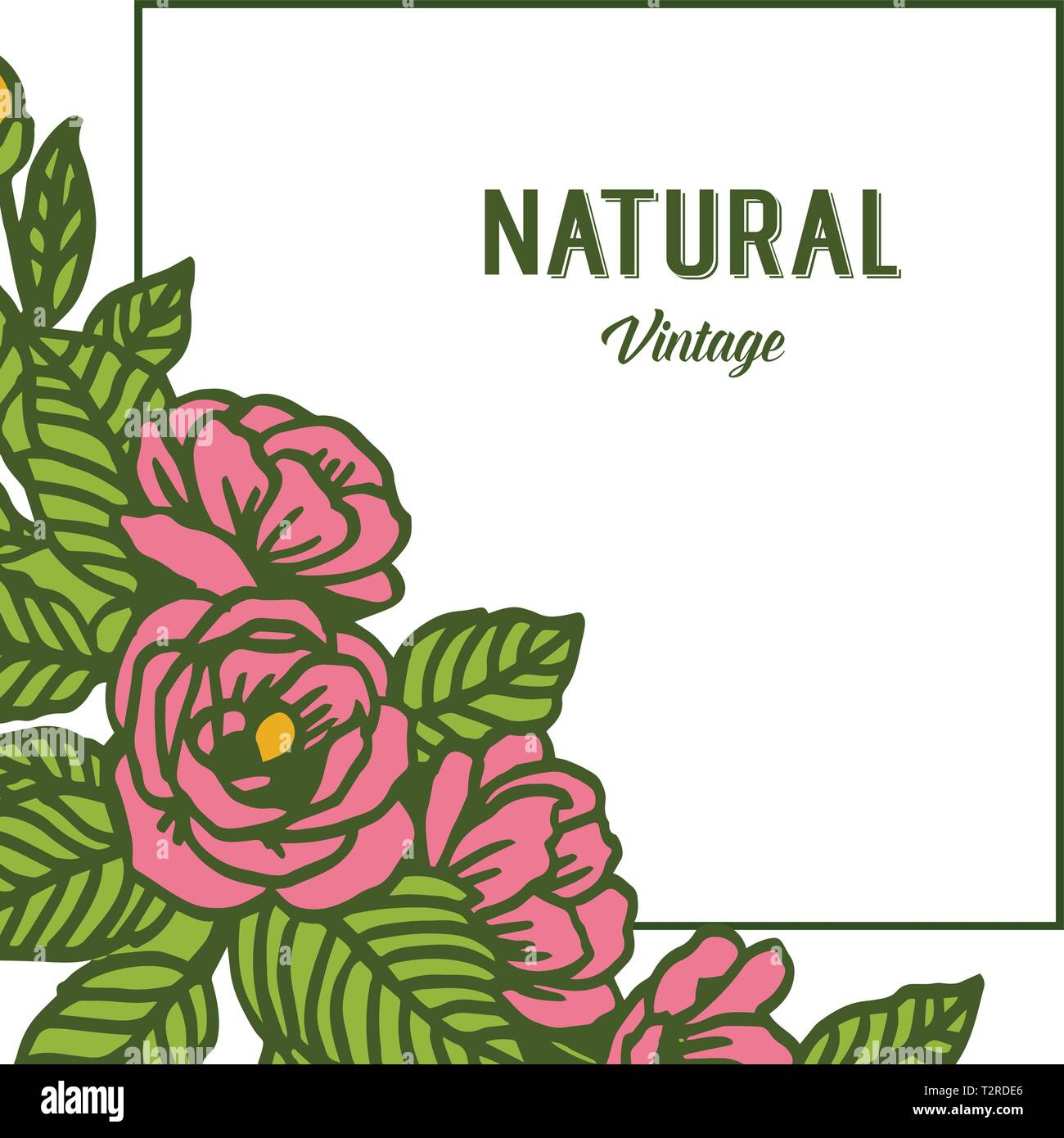 Vector illustration card natural vintage with art of rose flower frames ...