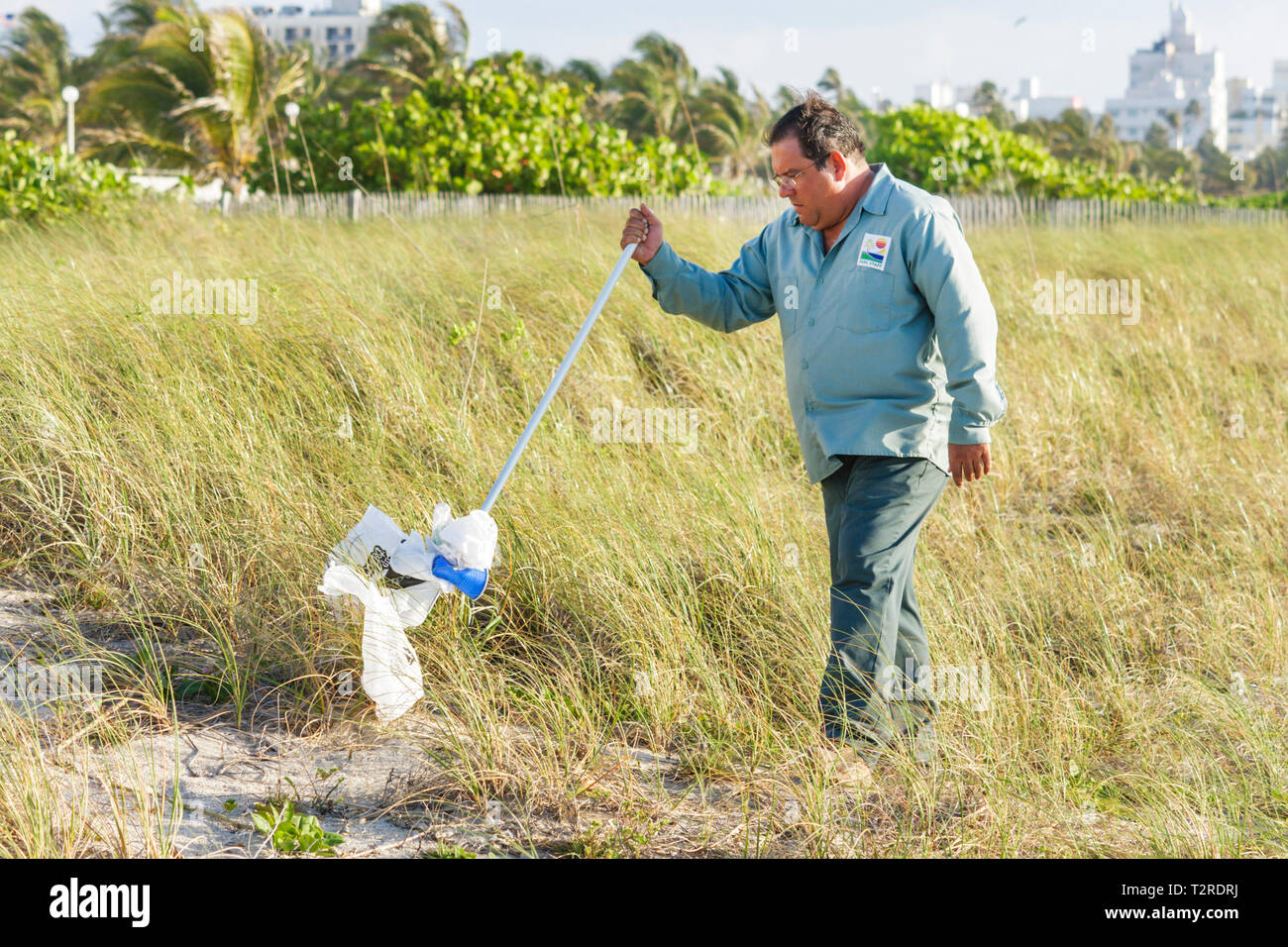 Miami Beach Florida,city worker,workers,Hispanic man men male,clean up,pick up,trash,plastic cup,paper,pollution,grass,artificial dune,FL090430079 Stock Photo