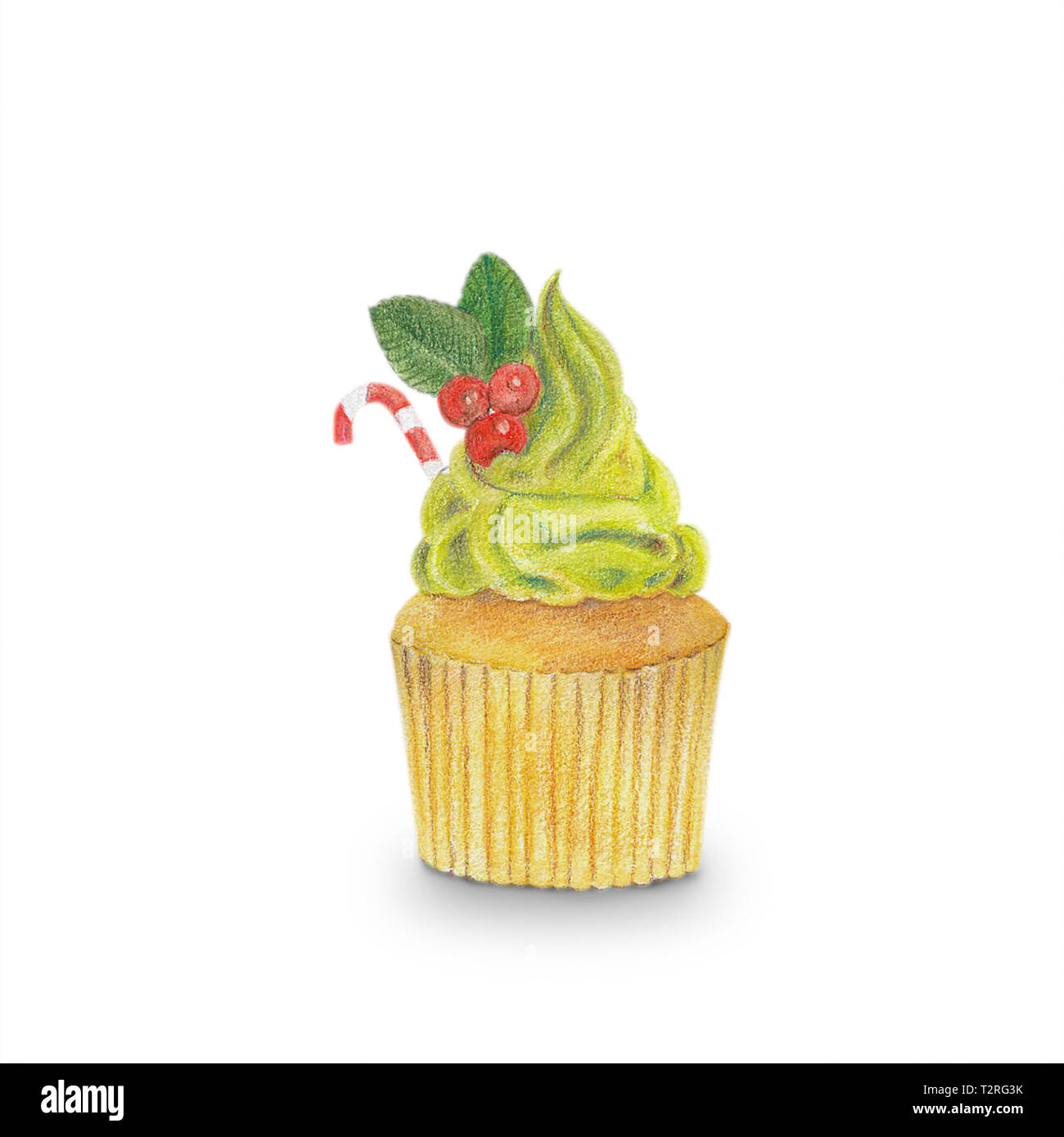 Hand-drawn watercolor of cupcakes isolated on white background, dessert ...