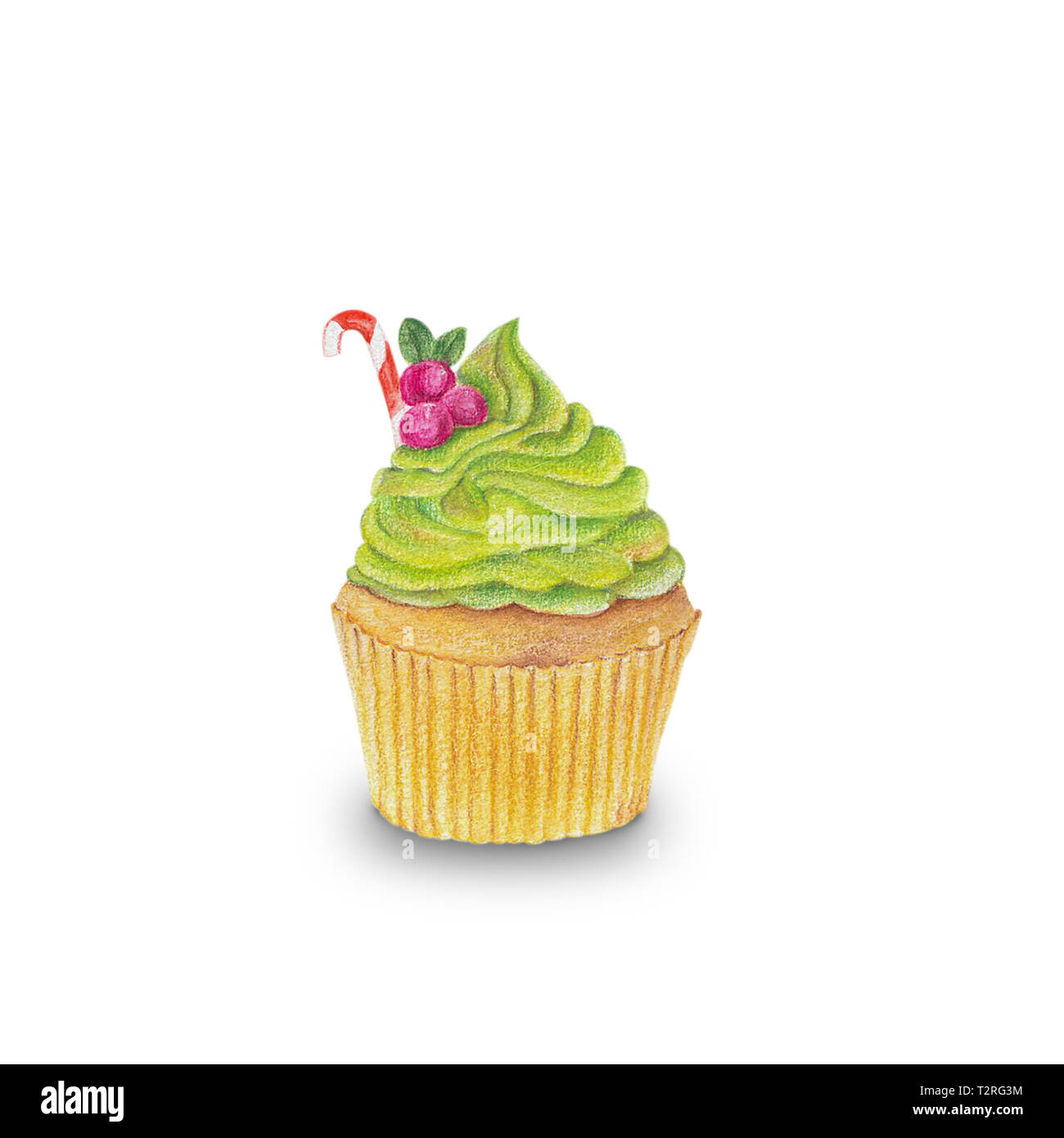 Hand-drawn watercolor of cupcakes isolated on white background, dessert ...