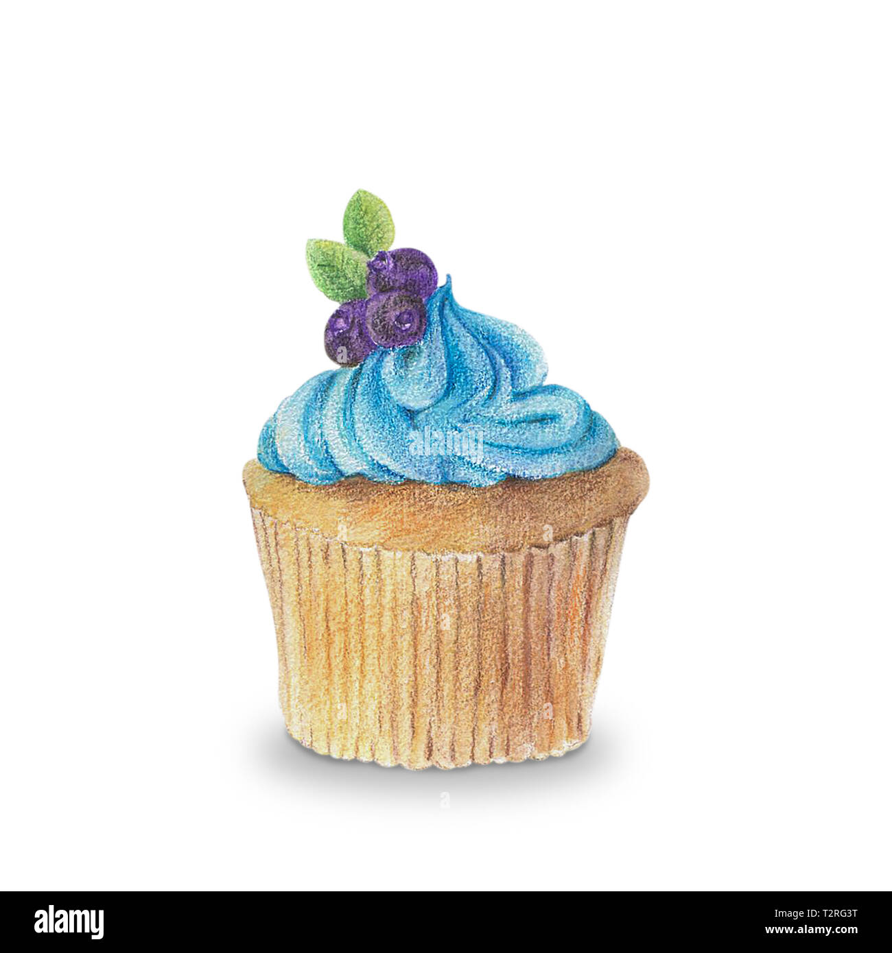 Hand-drawn watercolor of cupcakes isolated on white background, dessert ...