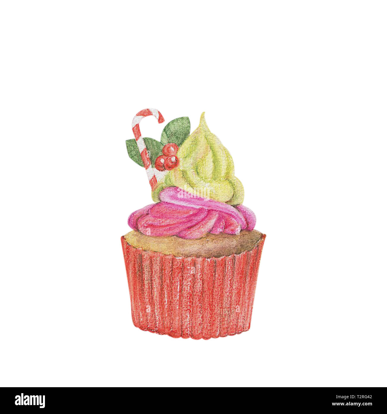 Hand-drawn watercolor of cupcakes isolated on white background, dessert ...