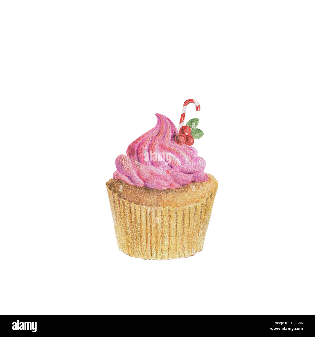 Hand-drawn watercolor of cupcakes isolated on white background, dessert ...