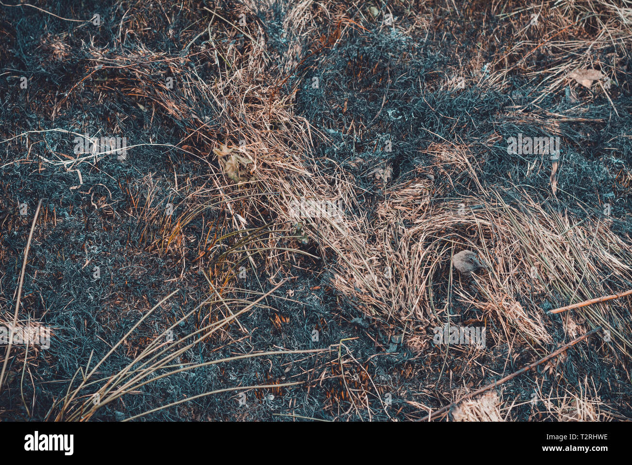 Black spots and smoke from burnt dry grass are environmentally ...
