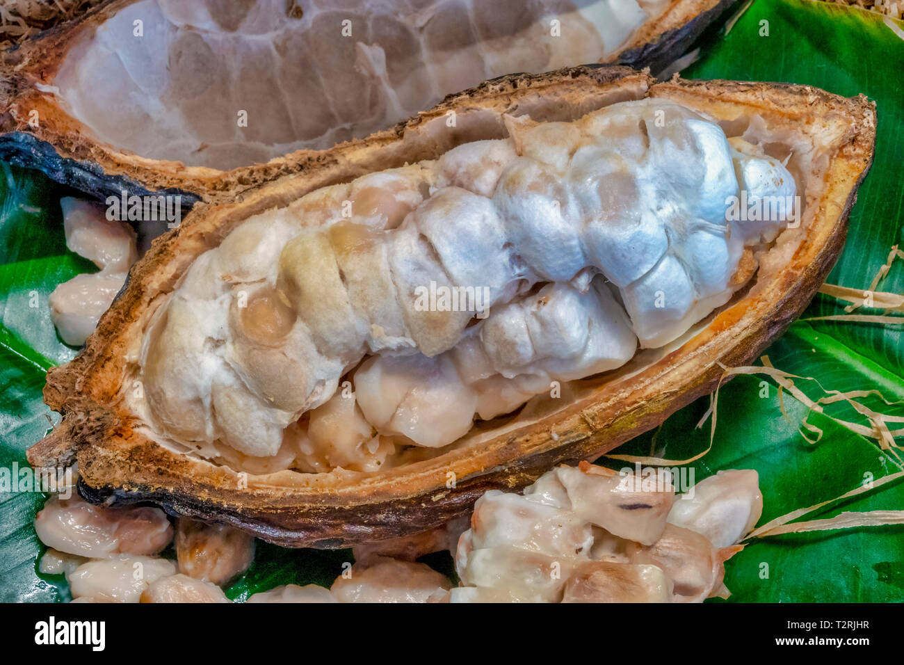 Cacao hi-res stock photography and images - Alamy