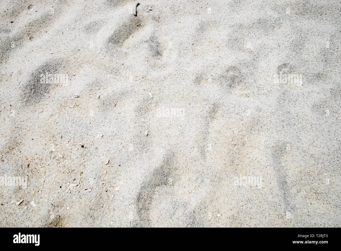 White sand subtle grain smooth background Stock Photo