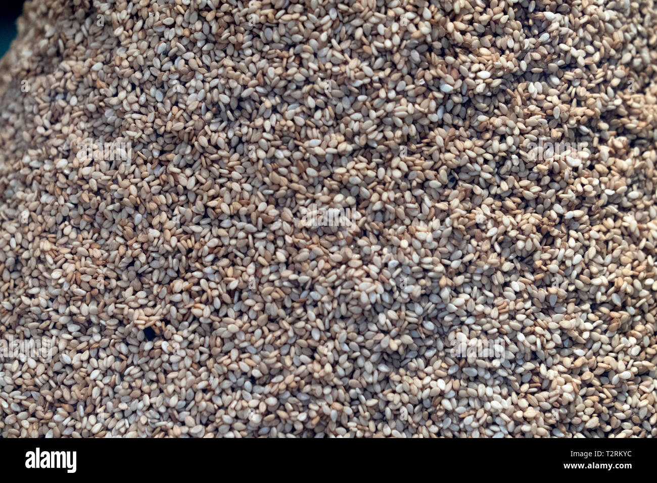 sesame seeds close up macro detail Stock Photo Alamy
