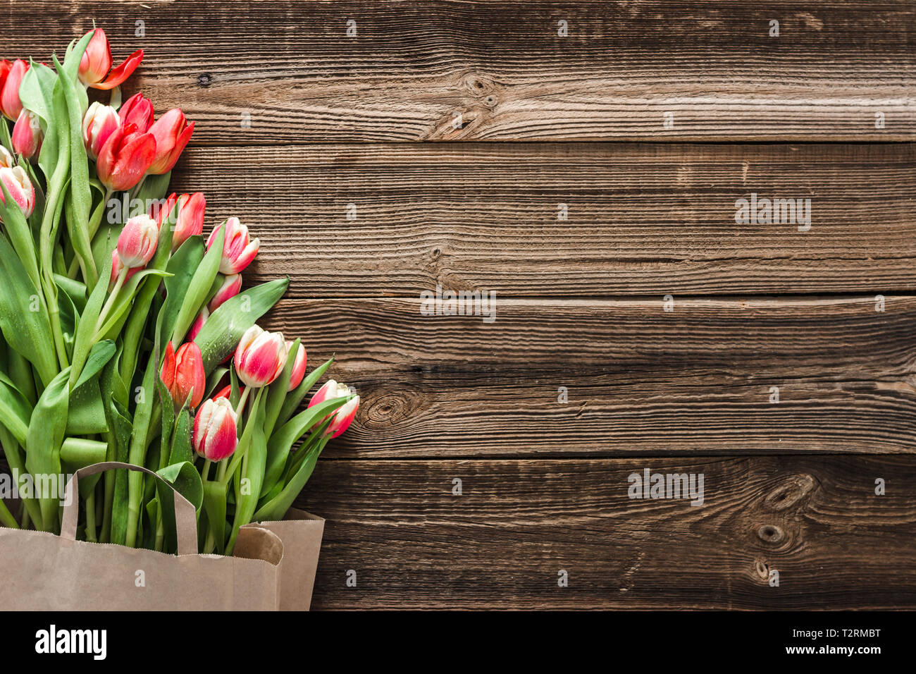 Top view tulip hi-res stock photography and images - Alamy