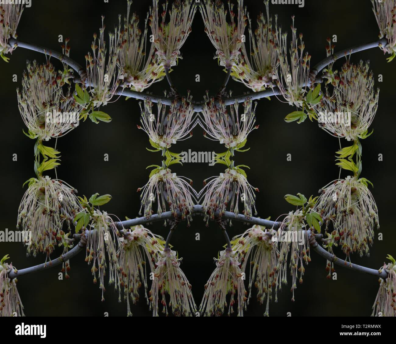 Colorful seamless spring plants pattern for design, background, ceramic ...