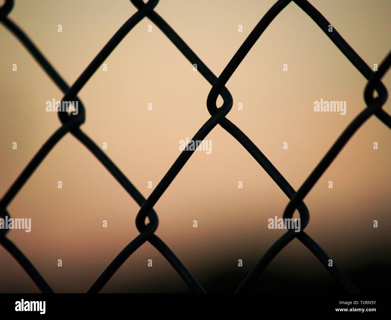 Close up of Chain link fence during the sunset Stock Photo