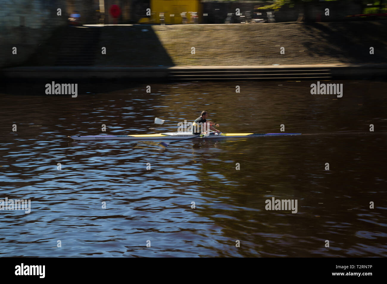 York, North Yorkshire. A man in his sculling boat on the River Ouse in York. Stock Photo