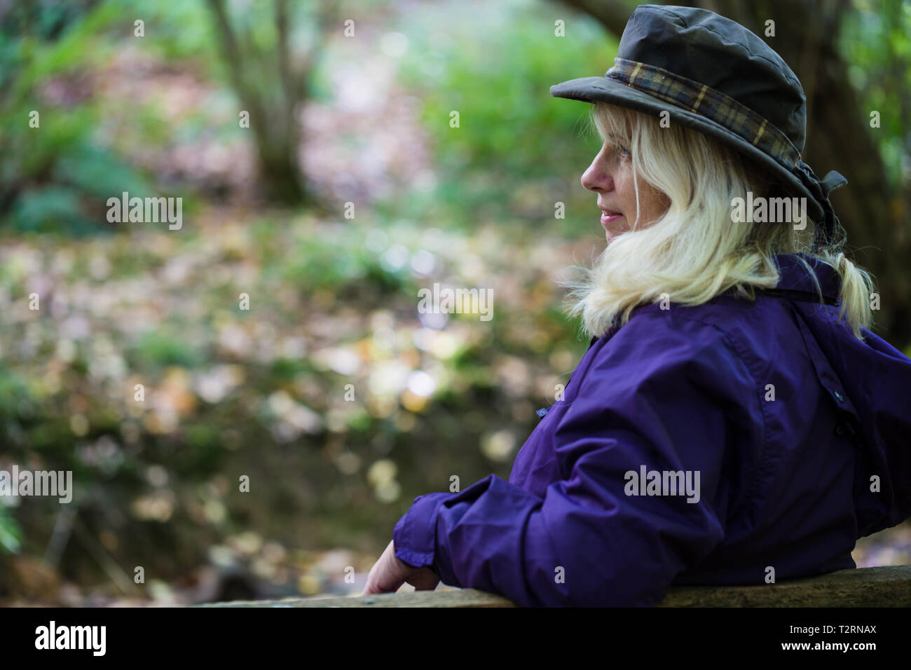Shorne, Country Park, Kent. UK. A middle aged woman enjoys a rest on a bench while on a countryside walk. Stock Photo