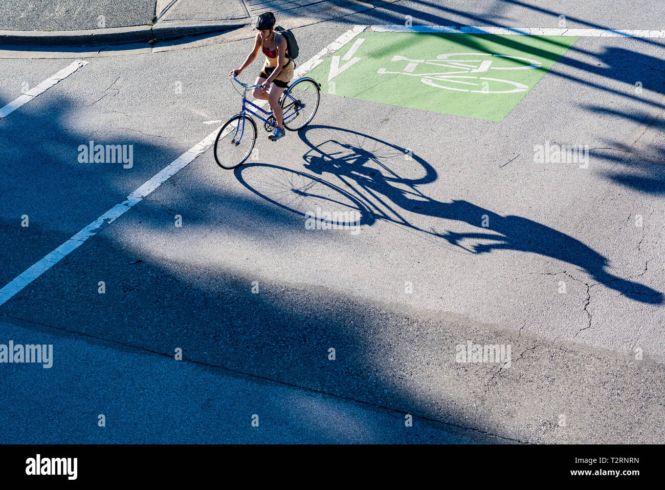 Cyclist using dedicated bike lane, Vancouver, British Columbia, Canada. Stock Photo
