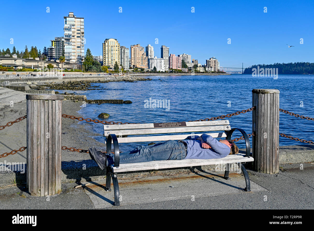 Man sleeping on park bench hi-res stock photography and images - Alamy