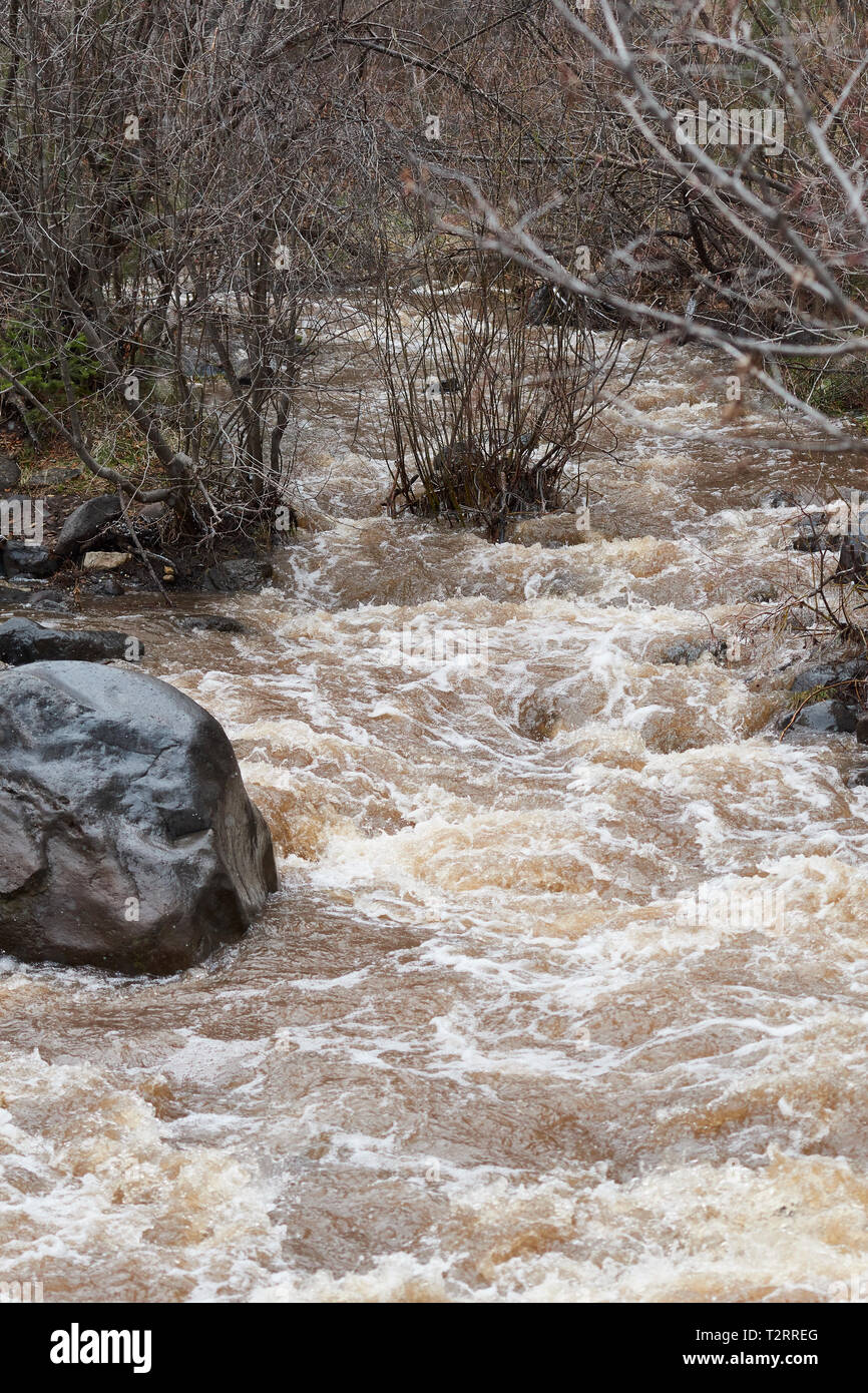 Tree creak hires stock photography and images Alamy