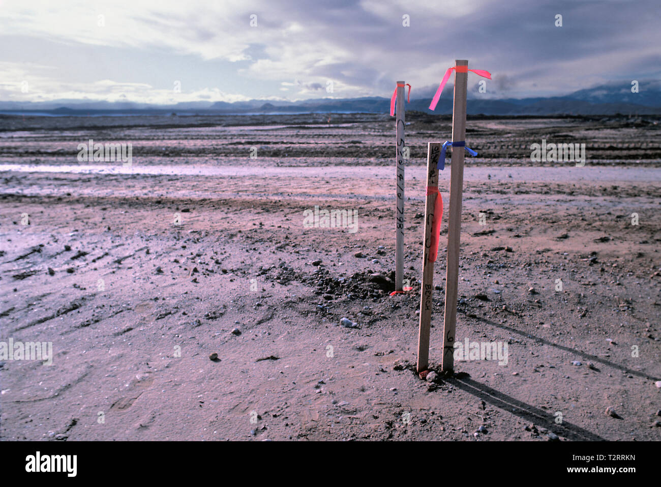 Survey markers used in A construction project in the desert near Las