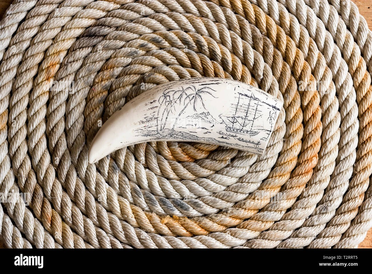 Scrimshaw carving of South Seas whaling ship on whalebone Stock Photo