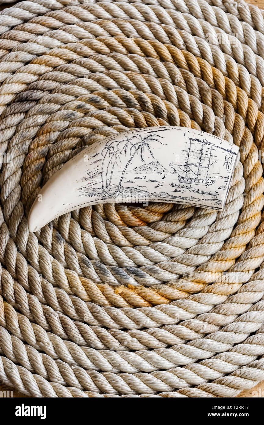 Scrimshaw carving of South Seas whaling ship on whalebone Stock Photo