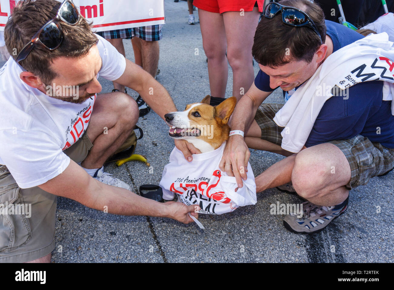 Miami Beach Florida,AIDS Walk Miami,Care Resource,run,HIV,epidemic ...