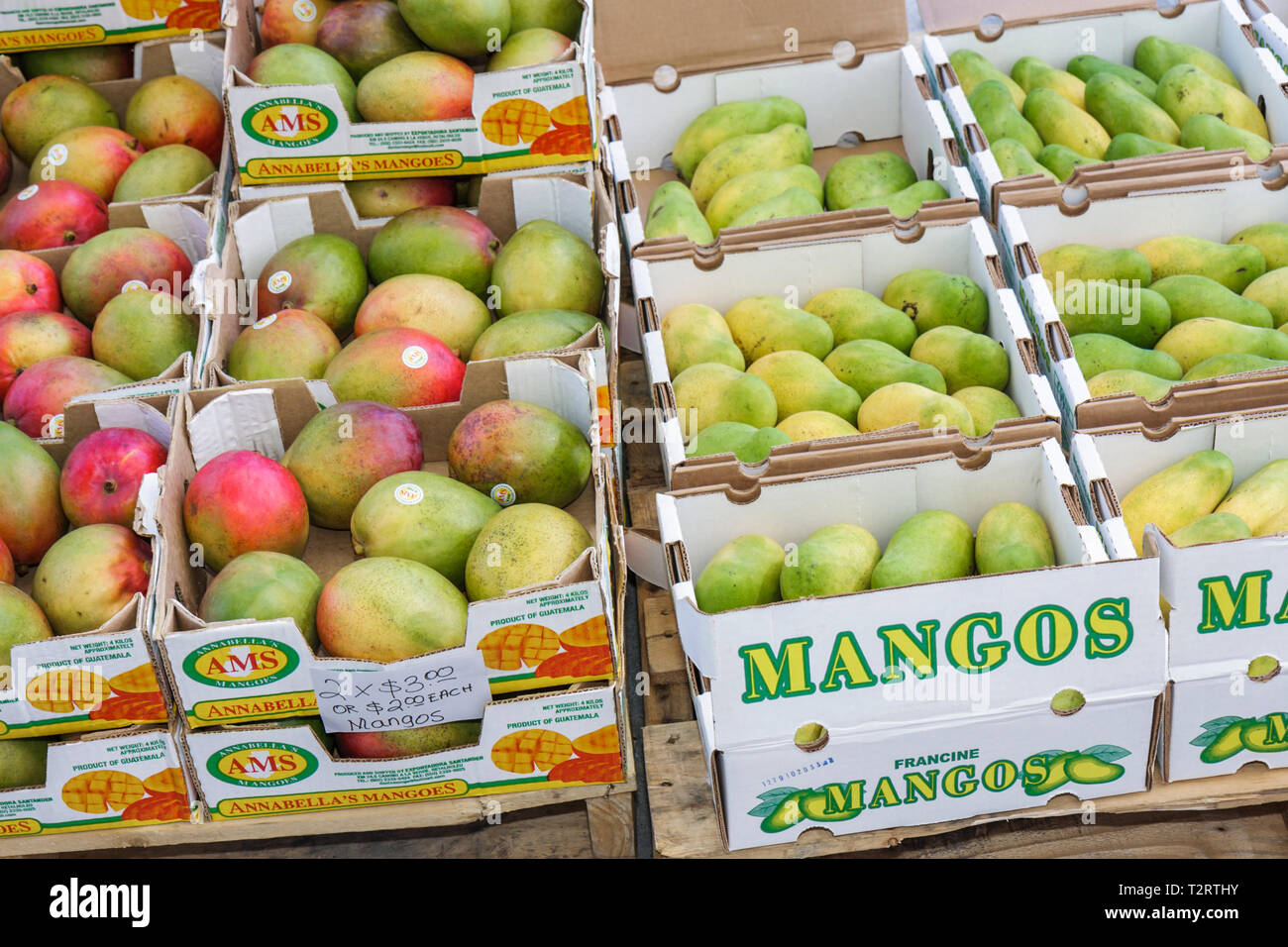 Miami Beach Florida,Lincoln Road Mall,mall arcade,farmers market,farmer's,farmers',cardboard box