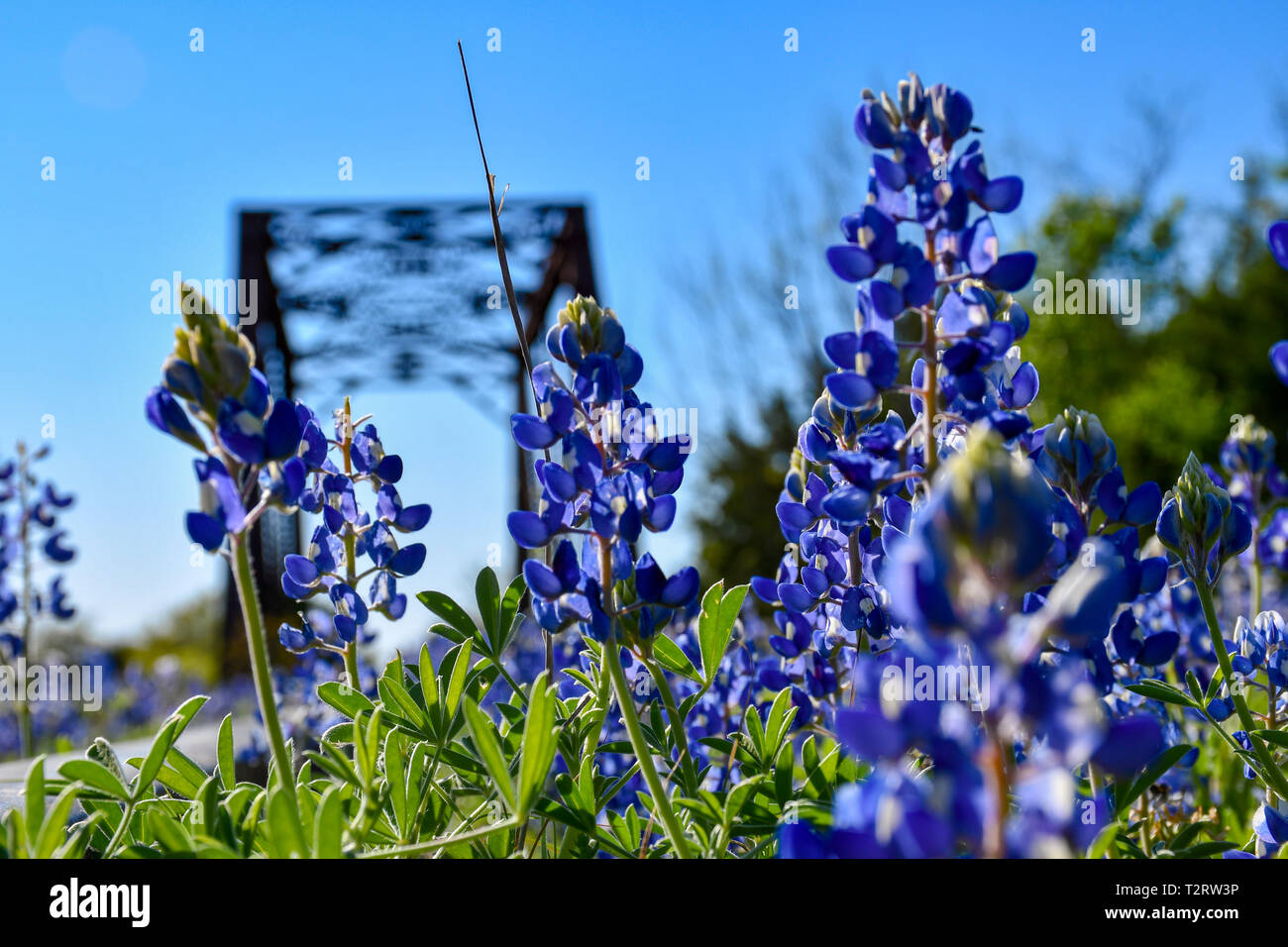 Texas Railroad Bridge Stock Photo