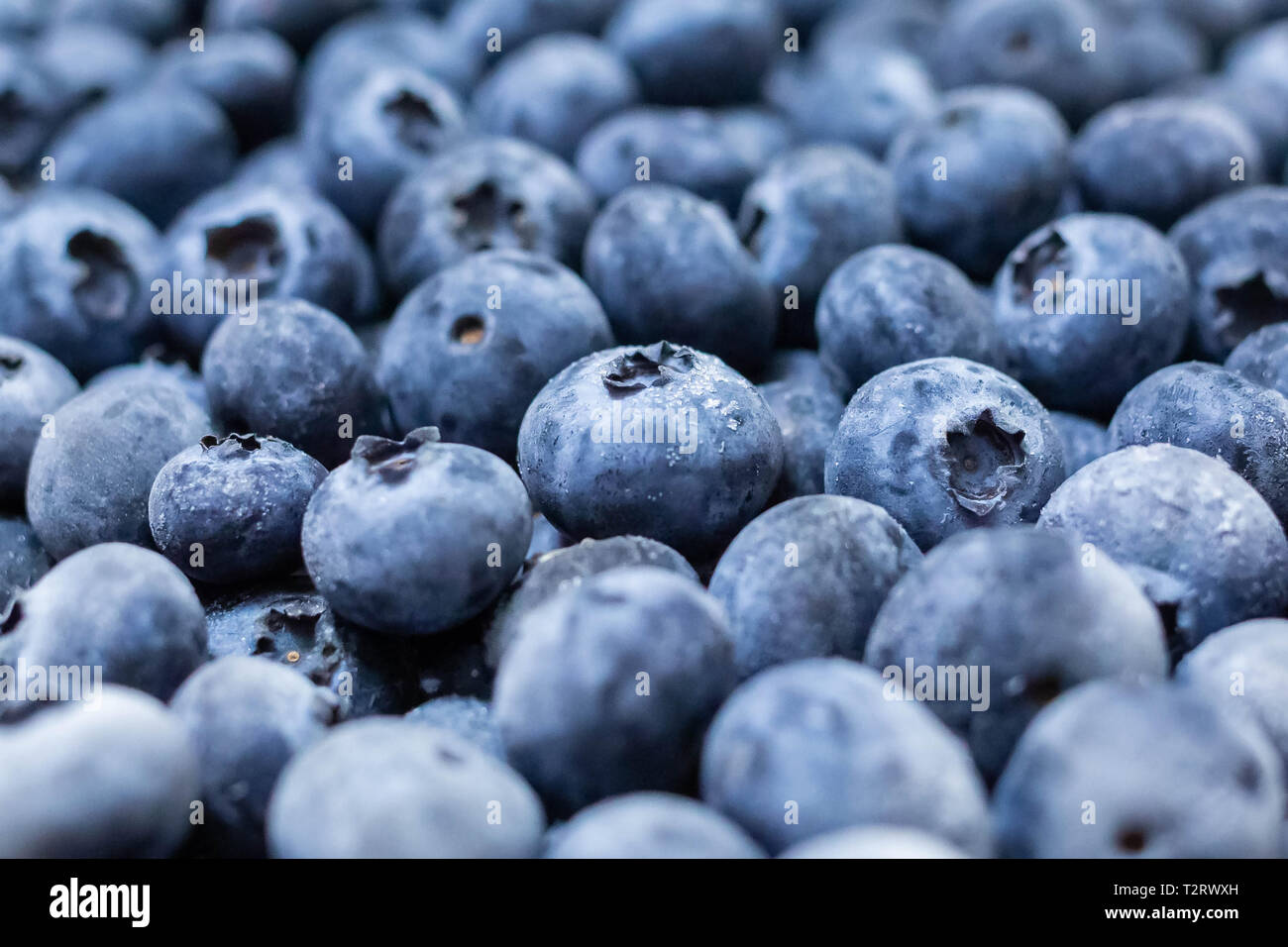 Close up fresh blueberries grouped macro berries Stock Photo