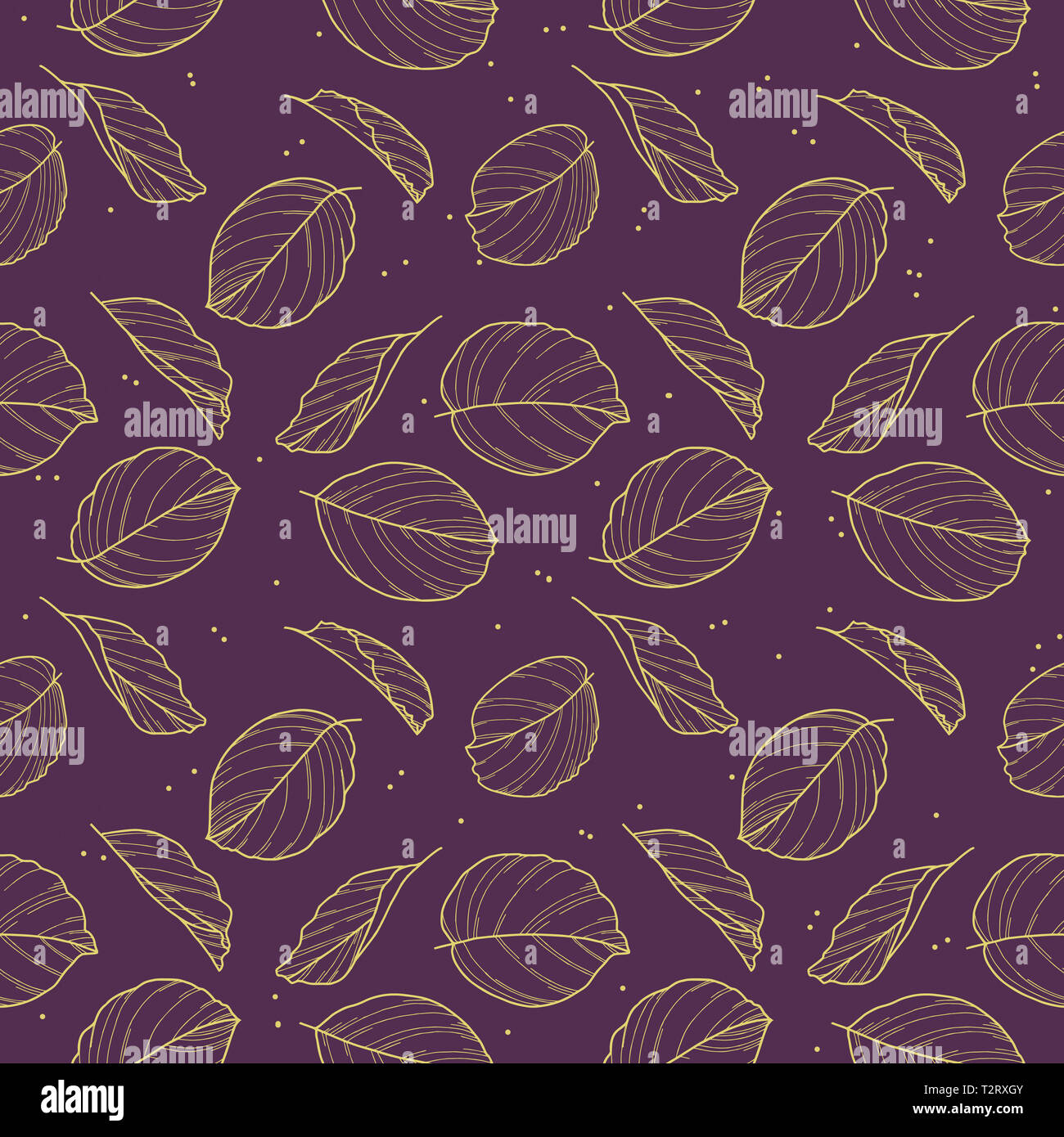 Elegant seamless pattern with drawn Calathea Prayer Plant leaf outlines in golden color on dark violet background Stock Photo