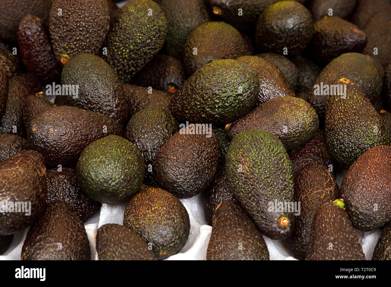 Export avocados hi-res stock photography and images - Alamy