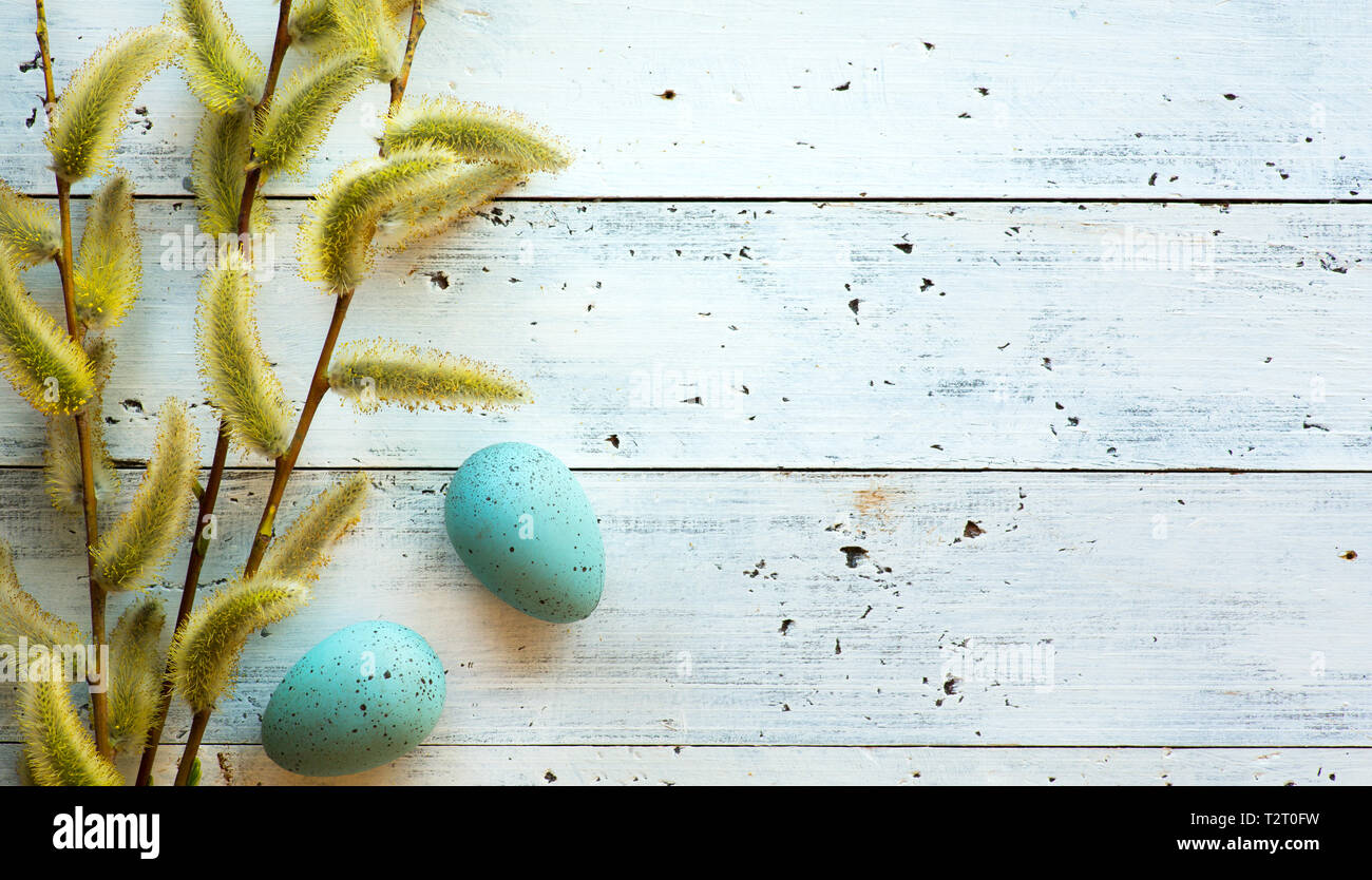Hello spring; Easter background with fresh flowers and Easter eggs Stock Photo