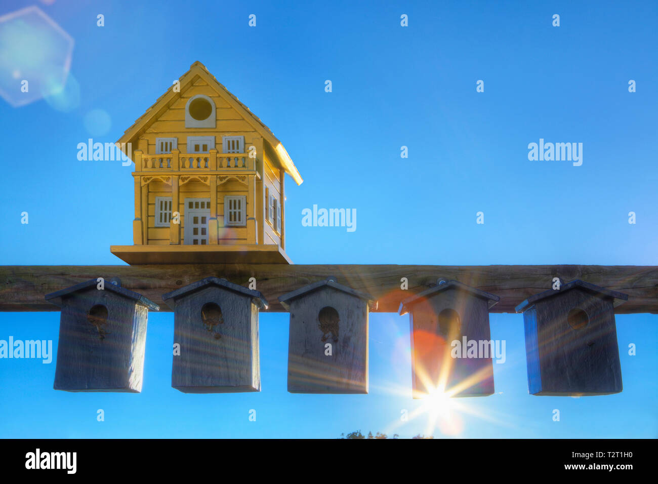 Rich and poor bird boxes Stock Photo