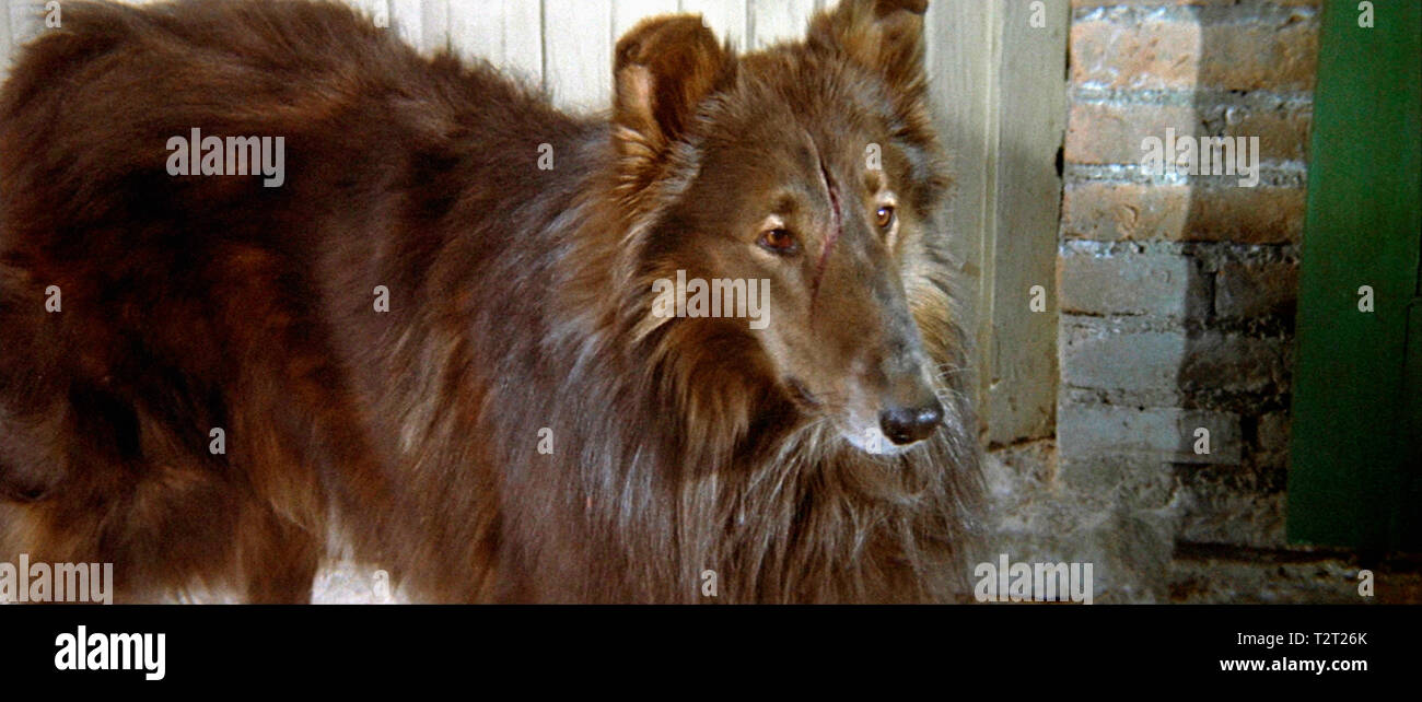 Big Jake Stock Photos & Big Jake Stock Images Alamy