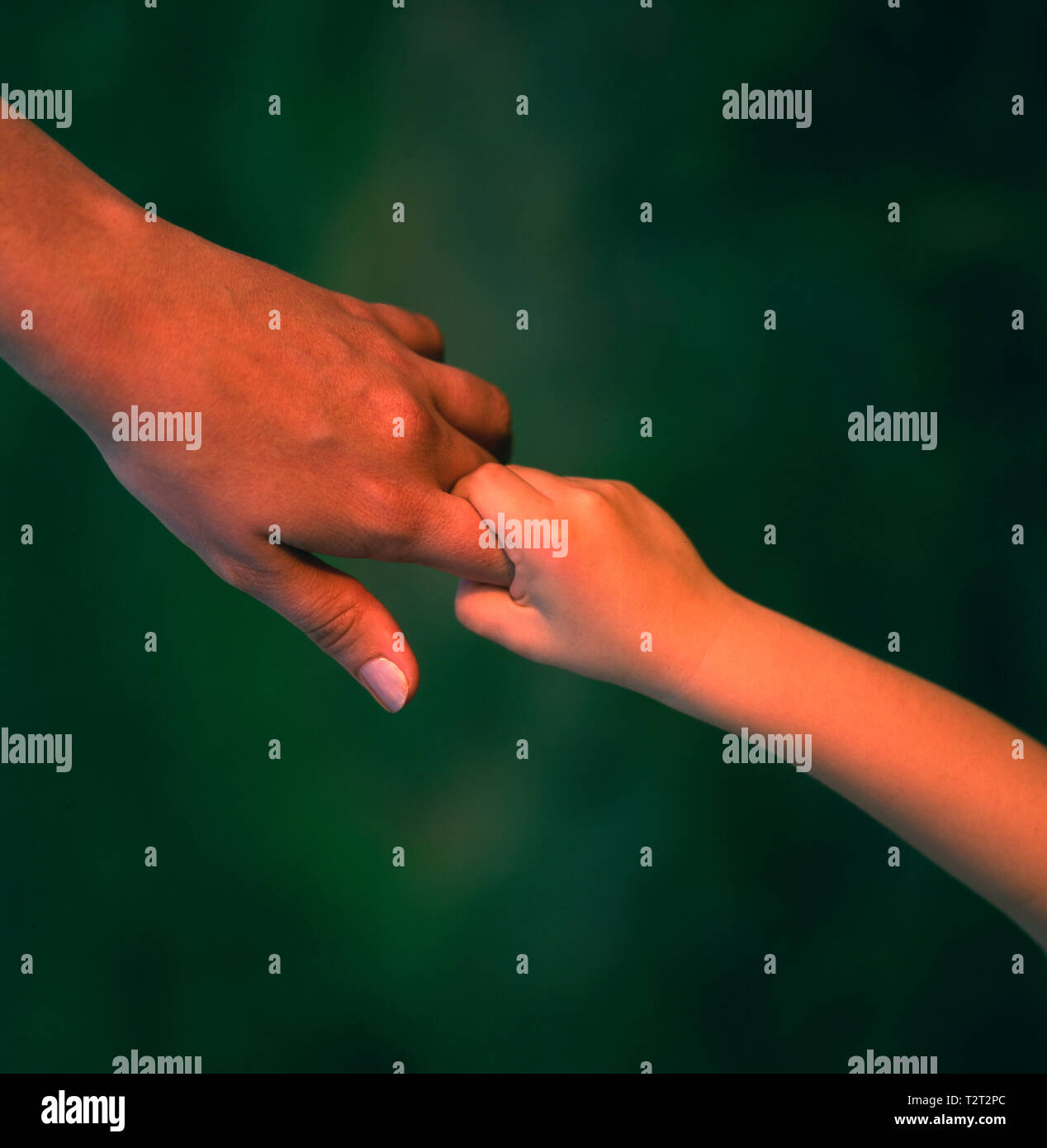 Child's hand holding the finger of an adult Stock Photo