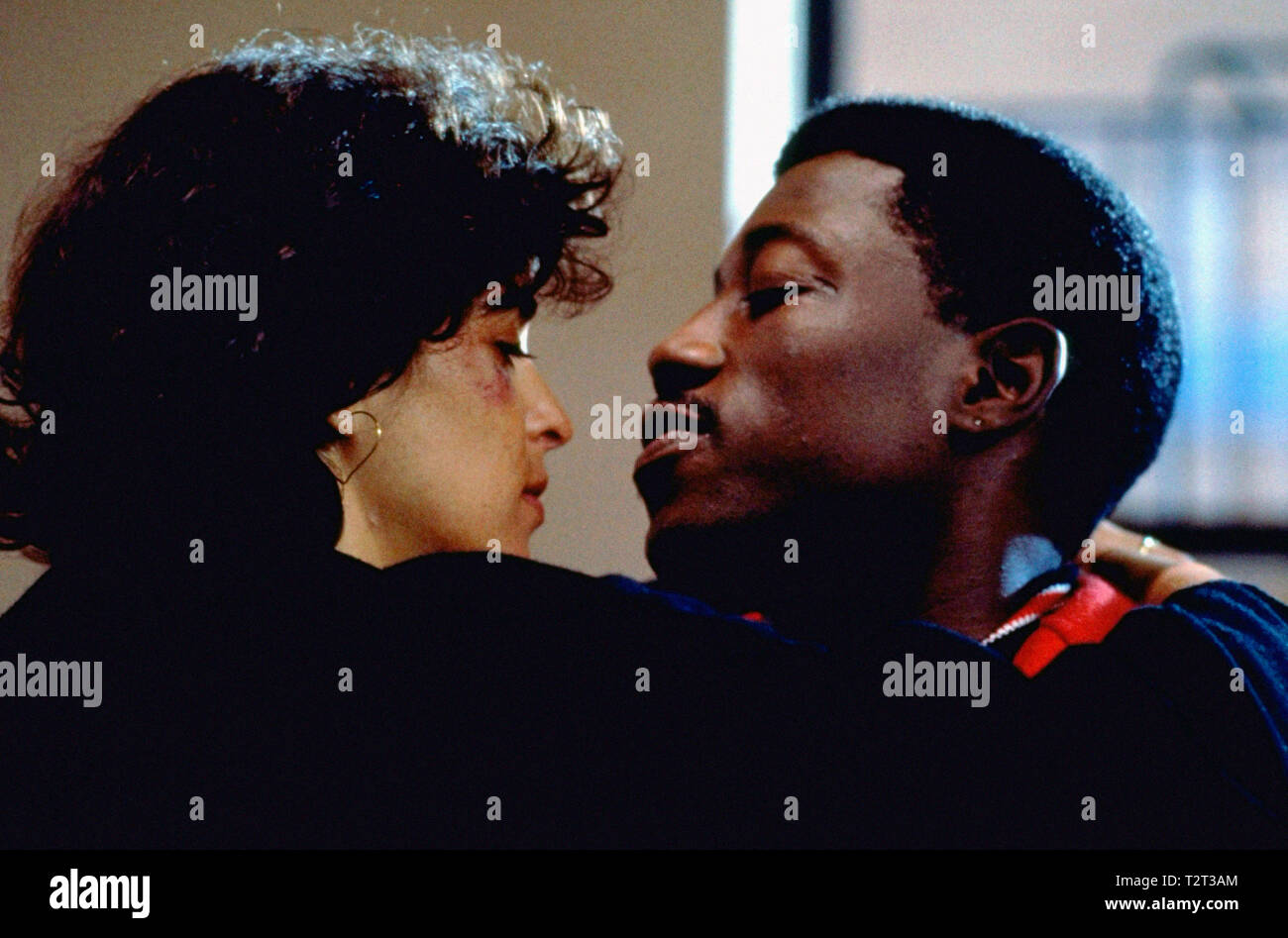 Jungle Fever Spike Stock Photos & Jungle Fever Spike Stock Images Alamy