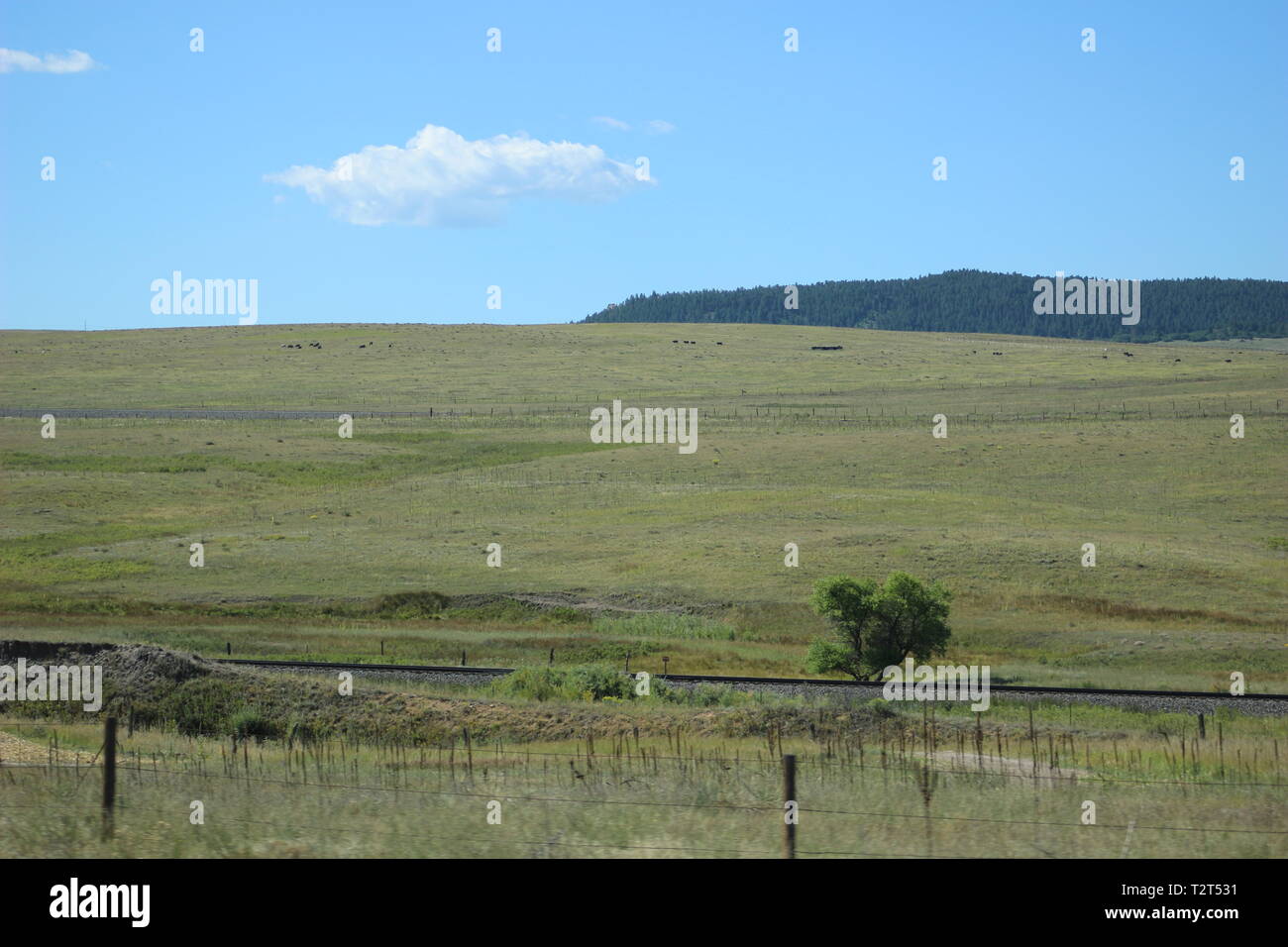 Colorado landscape near Castle Rock Stock Photo