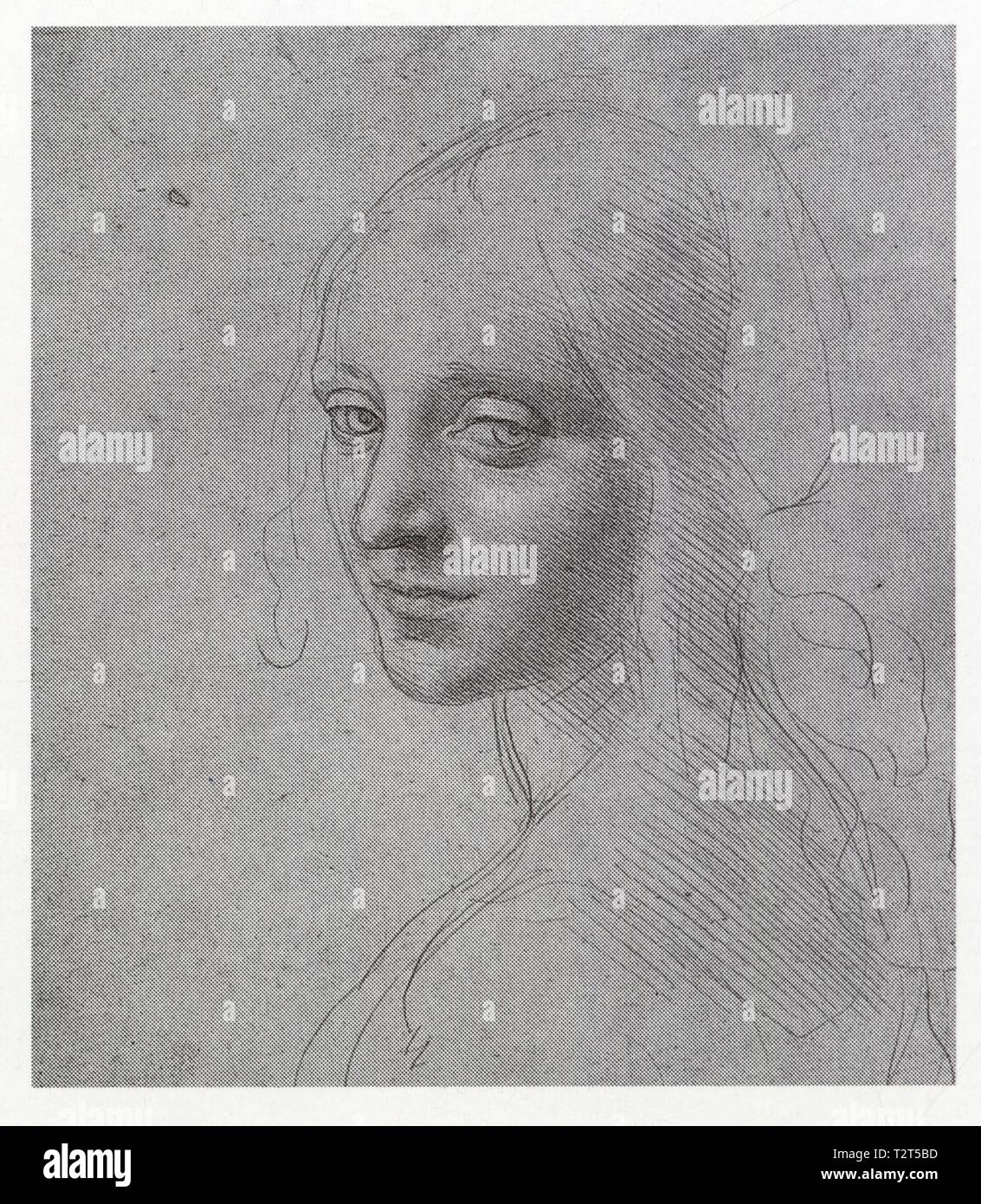 LEONARDO DA VINCI. STUDY FOR THE HEAD OF A GIRL. 1483. SILVERPOINT ON BROWNISH PREPARED PAPER. 182 MM X 159 MM Stock Photo